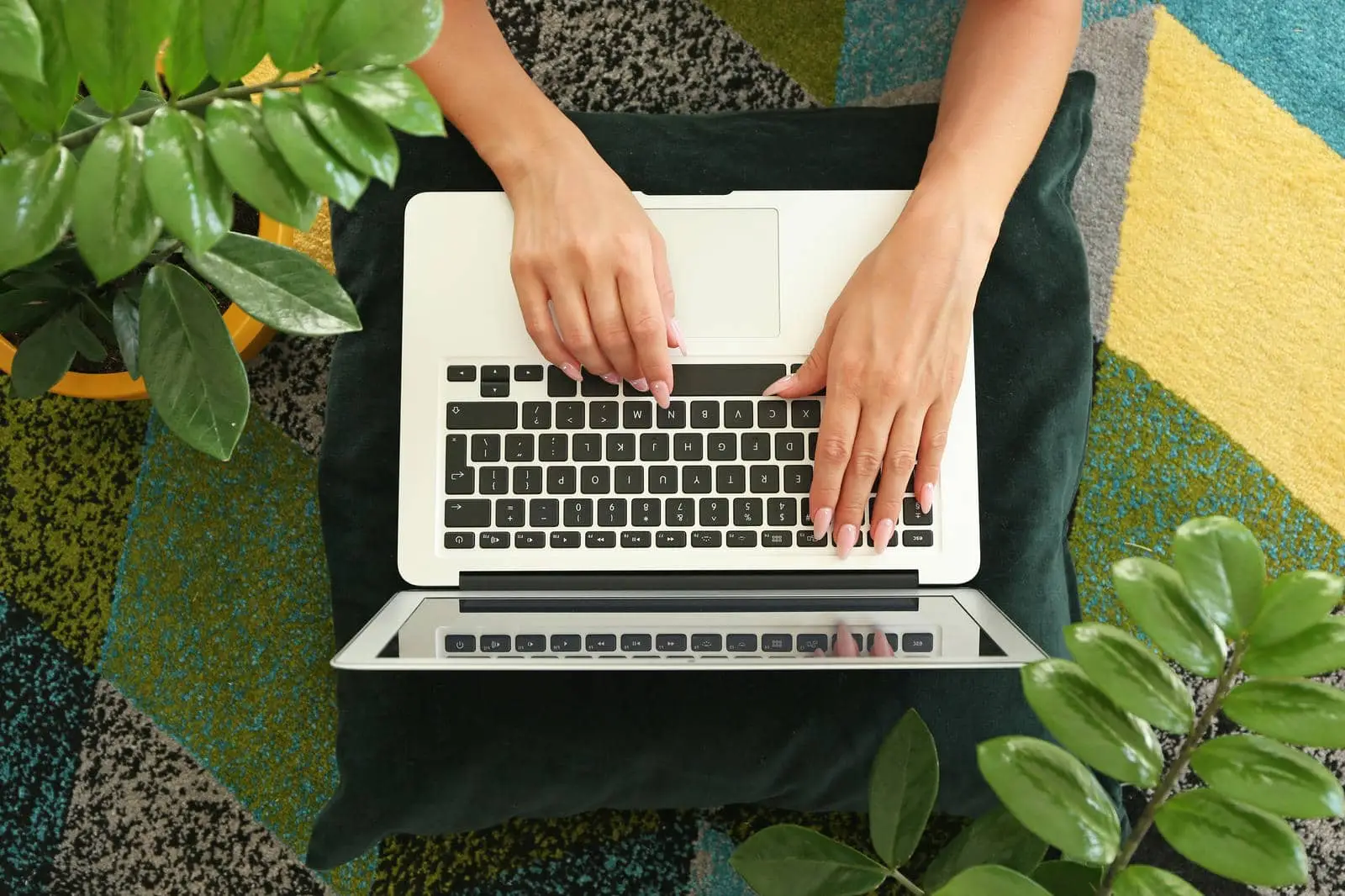 Hands typing on a laptop placed on a pillow surrounded by green plants, representing Search Engine Marketing